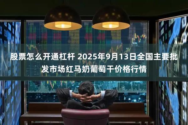 股票怎么开通杠杆 2025年9月13日全国主要批发市场红马奶葡萄干价格行情